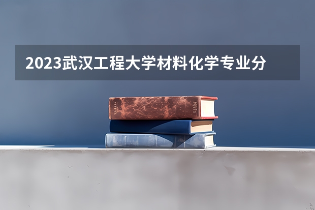 2023武汉工程大学材料化学专业分数线是多少(2024分数线预测)
