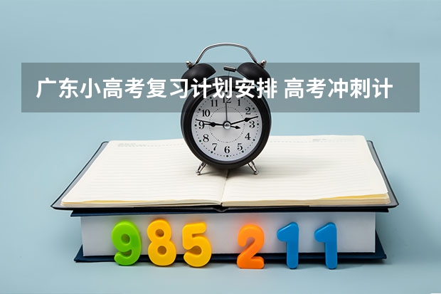 广东小高考复习计划安排 高考冲刺计划1000字左右(实用)