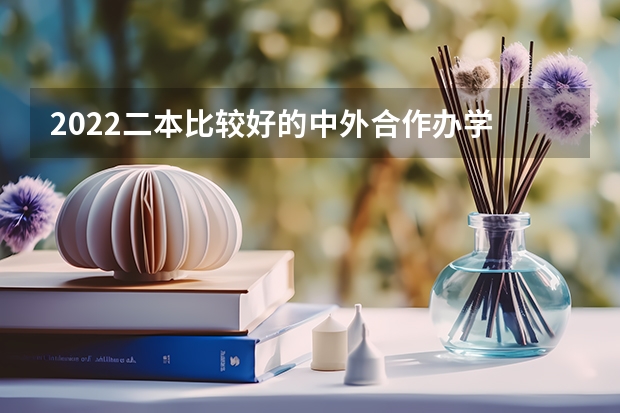 2022二本比较好的中外合作办学 哪些院校比较好