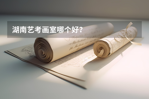 湖南艺考画室哪个好？