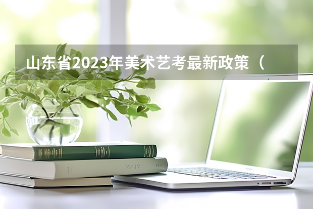 山东省2023年美术艺考最新政策（山东省艺考分数线）