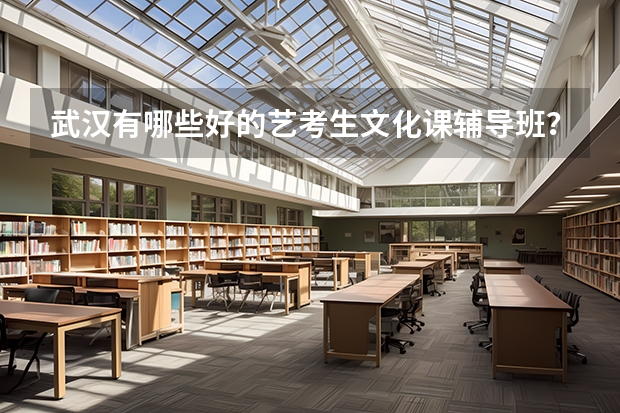 武汉有哪些好的艺考生文化课辅导班？辅导效果怎么样？