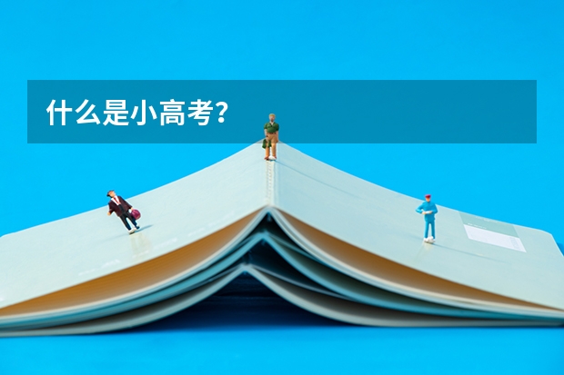 什么是小高考？