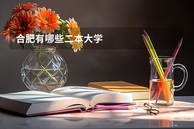 合肥有哪些二本大学