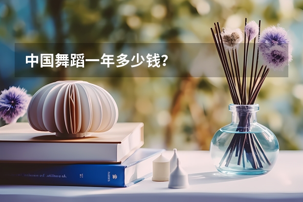 中国舞蹈一年多少钱？