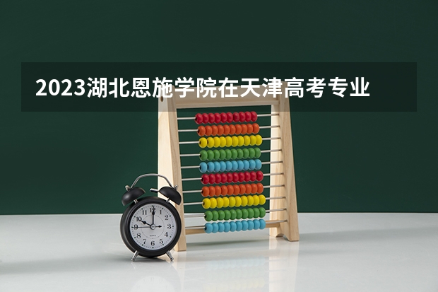 2023湖北恩施学院在天津高考专业招生计划人数