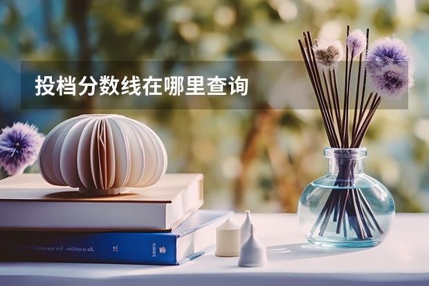 投档分数线在哪里查询