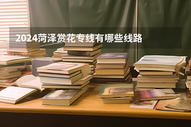 2024菏泽赏花专线有哪些线路