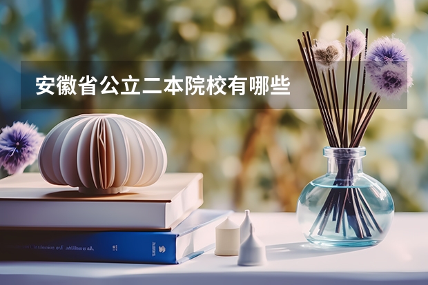 安徽省公立二本院校有哪些