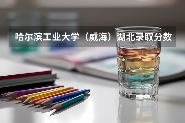 哈尔滨工业大学（威海）湖北录取分数线是多少（近三年招生人数汇总）