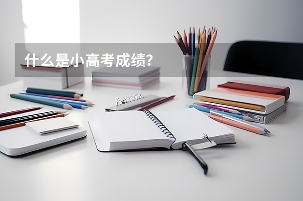 什么是小高考成绩？