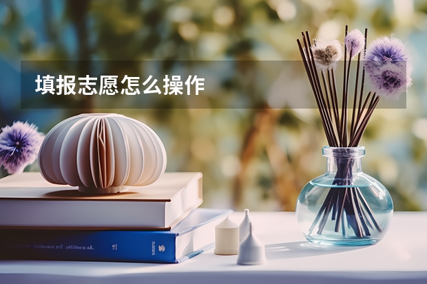 填报志愿怎么操作