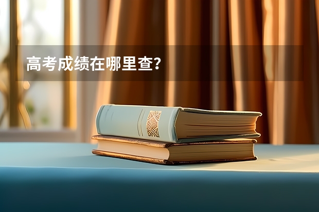 高考成绩在哪里查？