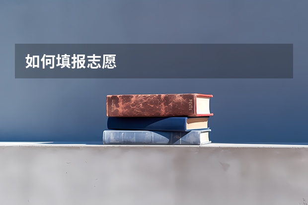 如何填报志愿