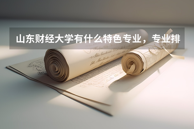 山东财经大学有什么特色专业，专业排名如何