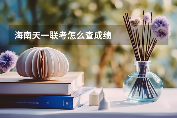 海南天一联考怎么查成绩