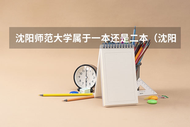 沈阳师范大学属于一本还是二本（沈阳师范大学中外合作办学学费）