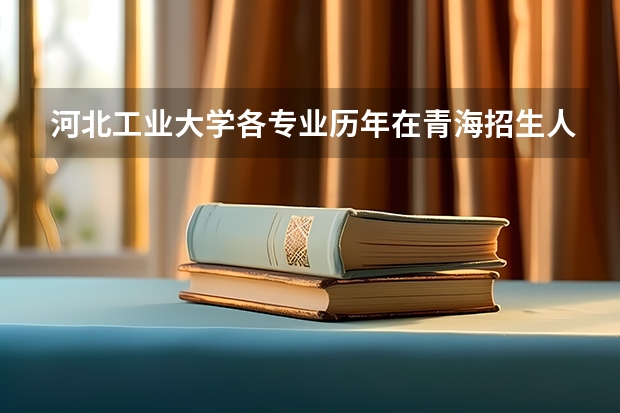 河北工业大学各专业历年在青海招生人数一览