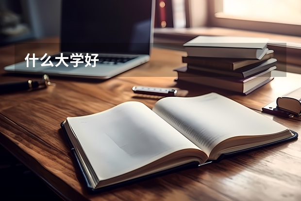 什么大学好