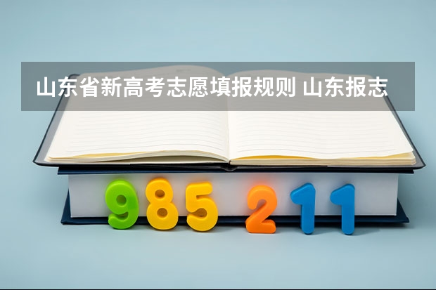山东省新高考志愿填报规则 山东报志愿可以报几个学校几个专业