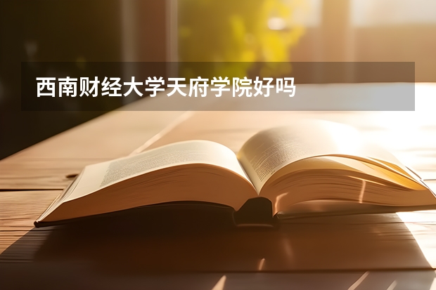 西南财经大学天府学院好吗