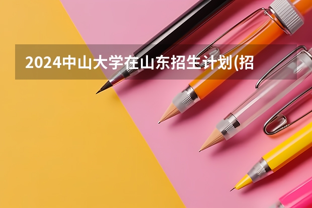 2024中山大学在山东招生计划(招生人数)