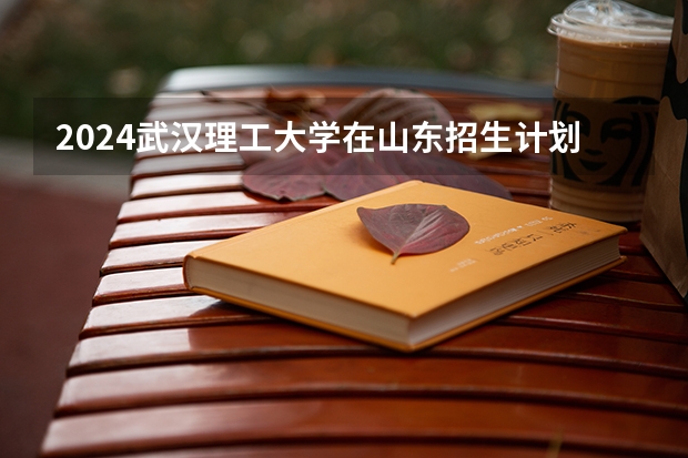 2024武汉理工大学在山东招生计划(招生人数)