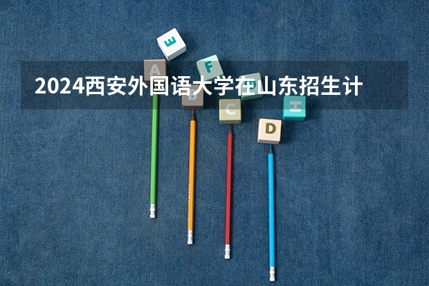 2024西安外国语大学在山东招生计划(招生人数)