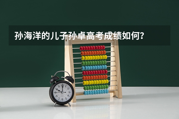 孙海洋的儿子孙卓高考成绩如何？