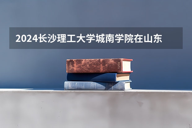 2024长沙理工大学城南学院在山东招生计划(招生人数)