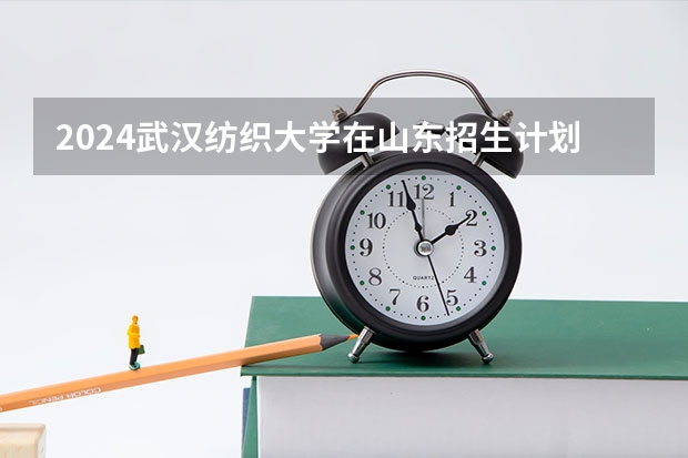 2024武汉纺织大学在山东招生计划(招生人数)