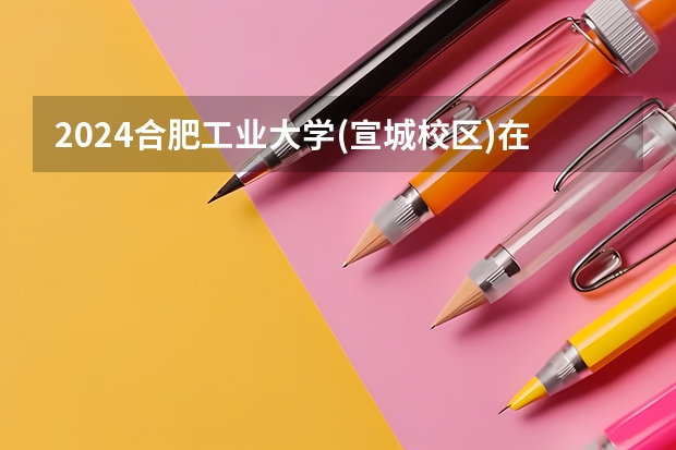 2024合肥工业大学(宣城校区)在四川招生计划