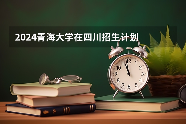 2024青海大学在四川招生计划