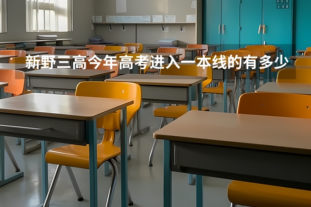 新野三高今年高考进入一本线的有多少人