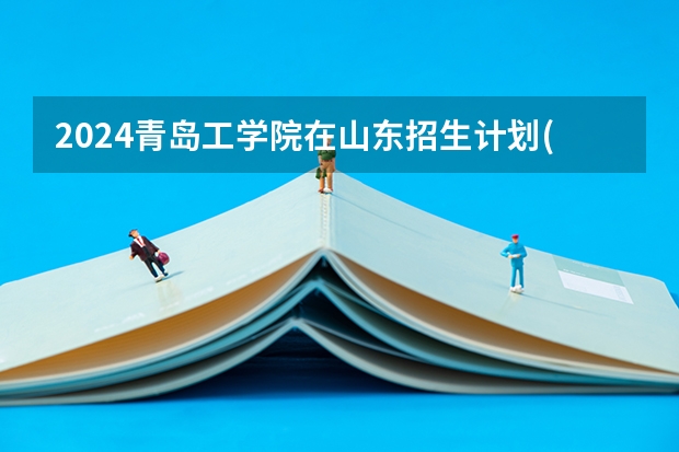 2024青岛工学院在山东招生计划(招生人数)
