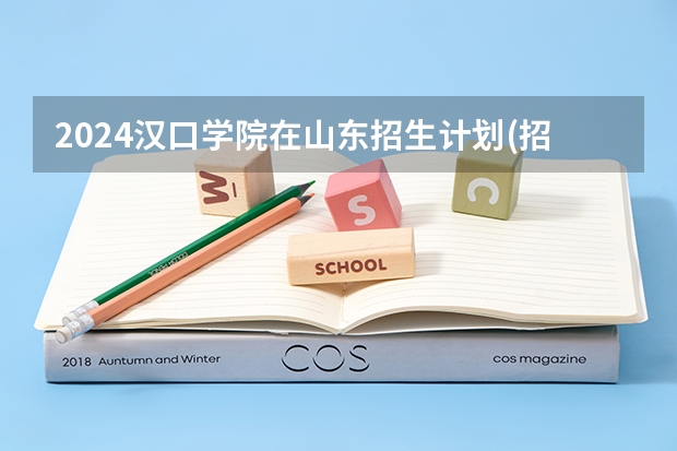 2024汉口学院在山东招生计划(招生人数)
