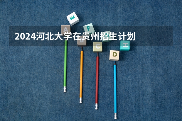 2024河北大学在贵州招生计划