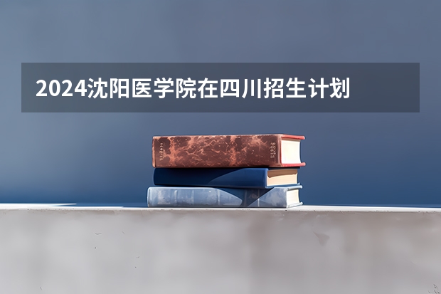 2024沈阳医学院在四川招生计划