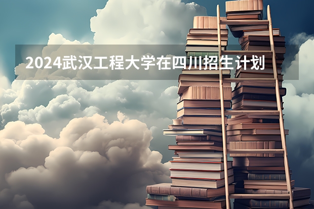 2024武汉工程大学在四川招生计划
