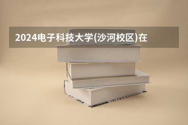 2024电子科技大学(沙河校区)在吉林招生计划(招生人数)