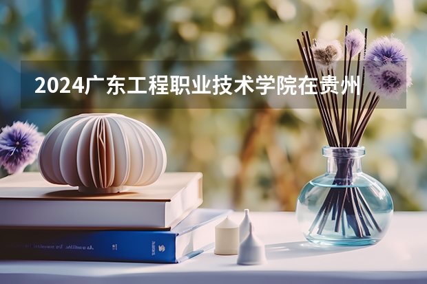 2024广东工程职业技术学院在贵州招生计划