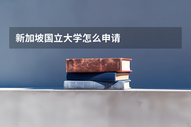 新加坡国立大学怎么申请
