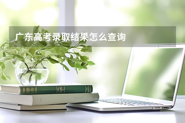 广东高考录取结果怎么查询