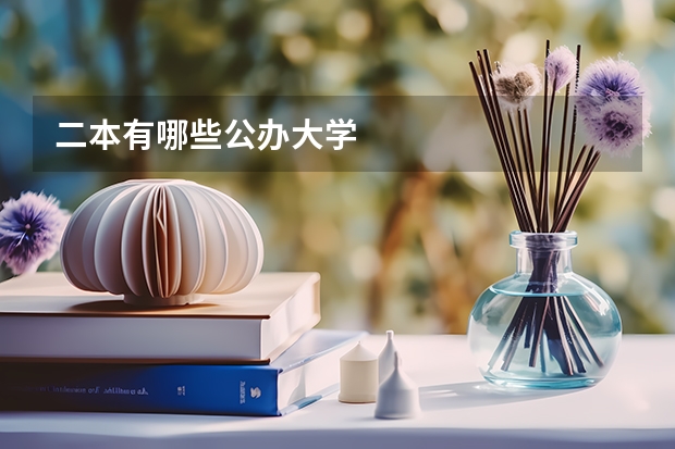 二本有哪些公办大学