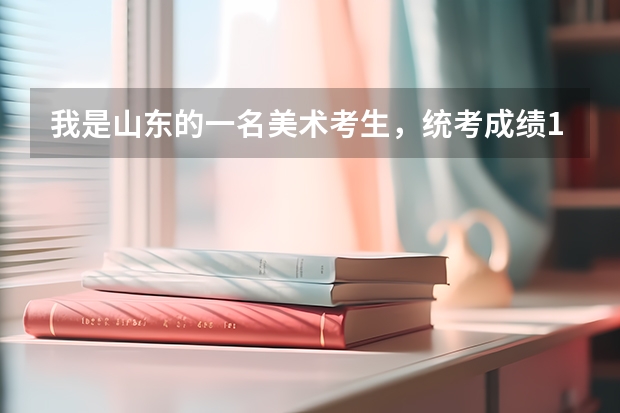 我是山东的一名美术考生,统考成绩131,文化课成绩358,能上什么样的学校较保险一些