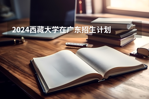 2024西藏大学在广东招生计划