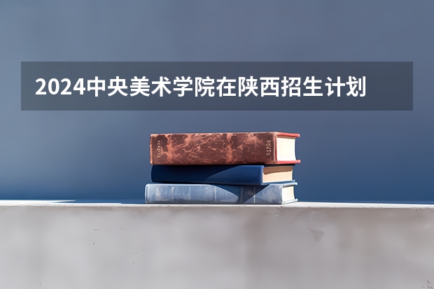 2024中央美术学院在陕西招生计划