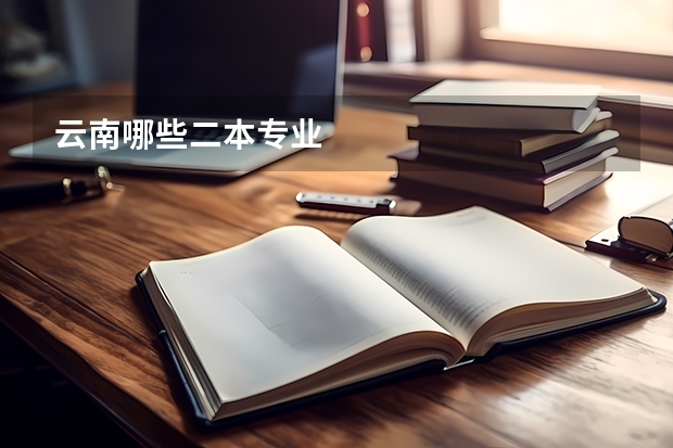 云南哪些二本专业