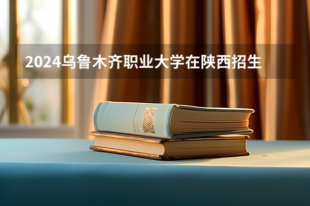 2024乌鲁木齐职业大学在陕西招生计划
