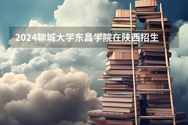 2024聊城大学东昌学院在陕西招生计划
